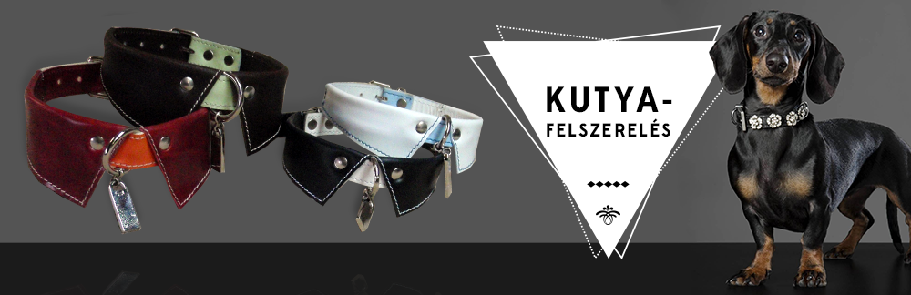 Kutyakiegészítők